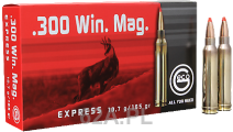 300WinMag