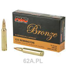 223Rem FMJ 55gr