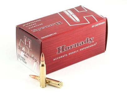 223Rem FMJBT 55gr