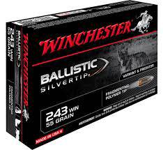 243Win BST 55gr