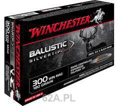 300WinMag BST 180gr op/20szt