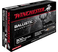 300WinMag BST 180gr op/20szt