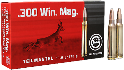 300WinMag  SP  11,0g